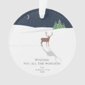 All The Wonders Starry Night Foto Ornament (Vorderseite)