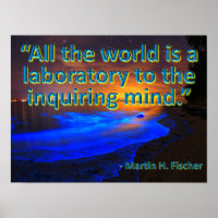 All the World is a Laboratory