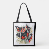 All Things Butterflies Callicore kolyma Black Whit Tasche (Rückseite)