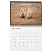 All Things Colorado Kalender (Mär 2027)