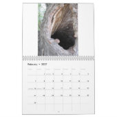 All Things Texas 2012 Kalender (Feb 2027)