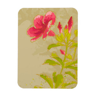 Allamanda-Blüte auf getöntem Hintergrund Magnet