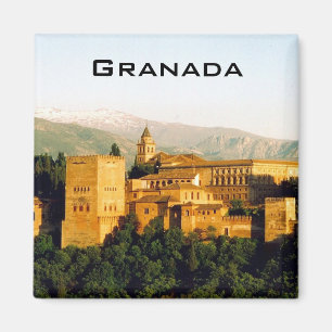 allambra granada view magnet