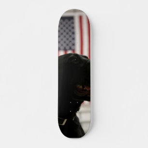 Allamerikanischer Schwarzer Labrador Skateboard