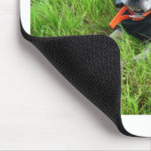 alldogscatch mousepad (Ecke)