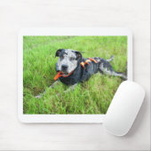 alldogscatch mousepad (Mit Mouse)