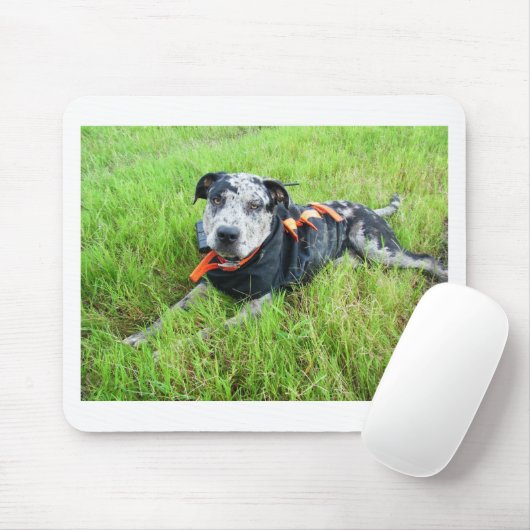 alldogscatch mousepad (Mit Mouse)