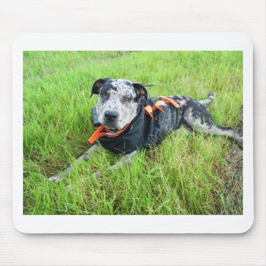 alldogscatch mousepad (Vorne)