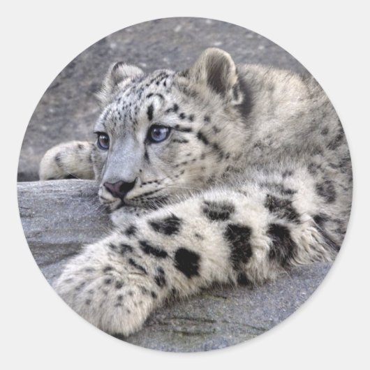 Alle abgespielten Aufkleber (Vorderseite)