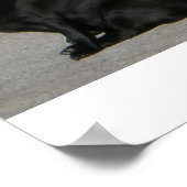 Alle amerikanischen Mops Poster (Ecke)