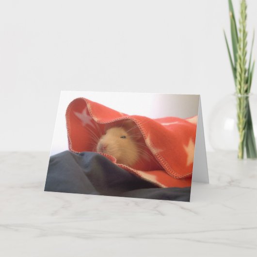 Alle amerikanischen Ratten Dankeskarte (Vorderseite)