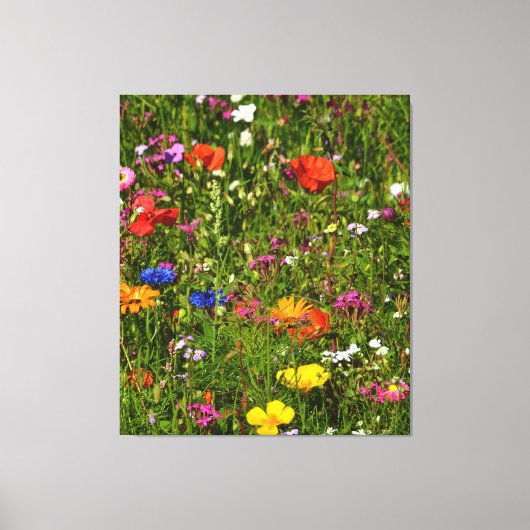 alle Arten von schönen Blume Leinwanddruck (Vorderseite)