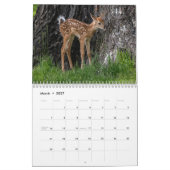 Alle Arten von Wildtieren Kalender (Mär 2027)