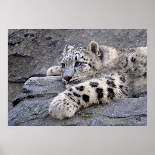 Alle ausgesendeten Texte Poster (Vorne)