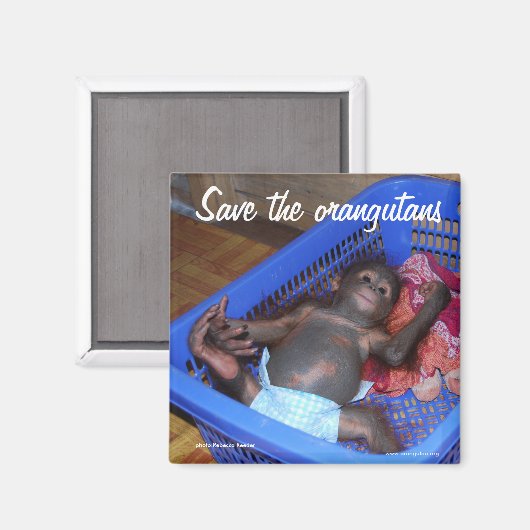 Alle Babys brauchen Liebe Magnet (Vorderseite/Rückseite)