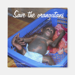 Alle Babys brauchen Liebe Magnet