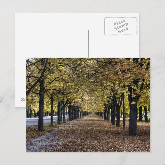 Alle Blätter Postkarte (Vorne/Hinten)