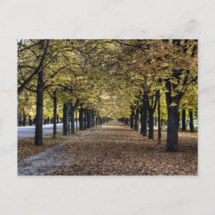 Alle Blätter Postkarte