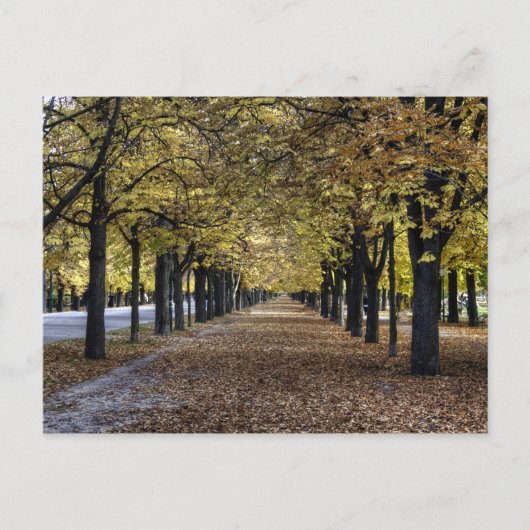 Alle Blätter Postkarte (Vorderseite)