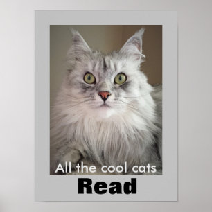 Alle Coolen Katzen lesen (Literacy Poster) Poster