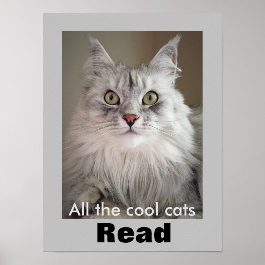 Alle Coolen Katzen lesen (Literacy Poster) Poster (Vorne)