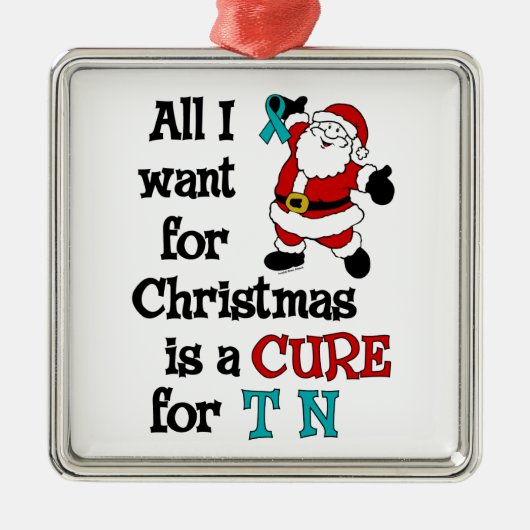 Alle, die ich für Weihnachten… TN will Silbernes Ornament (Vorne)