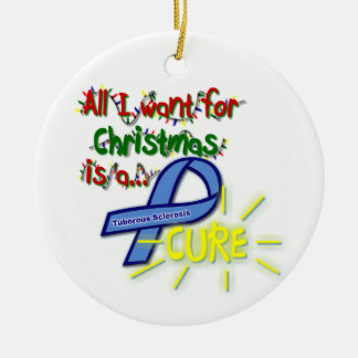 Alle, die ich für Weihnachten will, ist eine Keramik Ornament