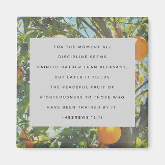 Alle Discipline Magnet