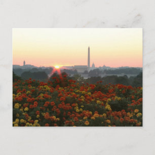 Alle drei Sunrise-Postkarten Postkarte