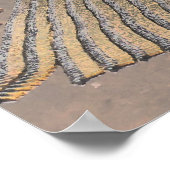 Alle Enten in einer Reihe Poster (Ecke)