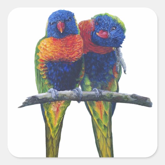 Alle Farben der Rainbow Lorikeets Quadratischer Aufkleber (Vorderseite)