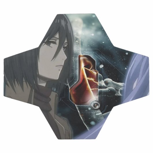 alle fußball (Flach)