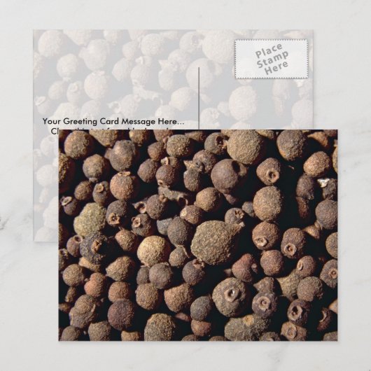 Alle Gewürze Postkarte (Vorne/Hinten)