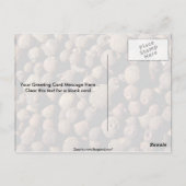 Alle Gewürze Postkarte (Rückseite)