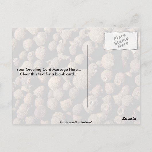 Alle Gewürze Postkarte (Rückseite)