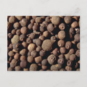 Alle Gewürze Postkarte (Vorderseite)