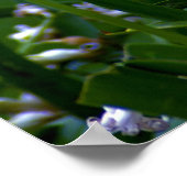 Alle großen Änderungen Poster (Ecke)