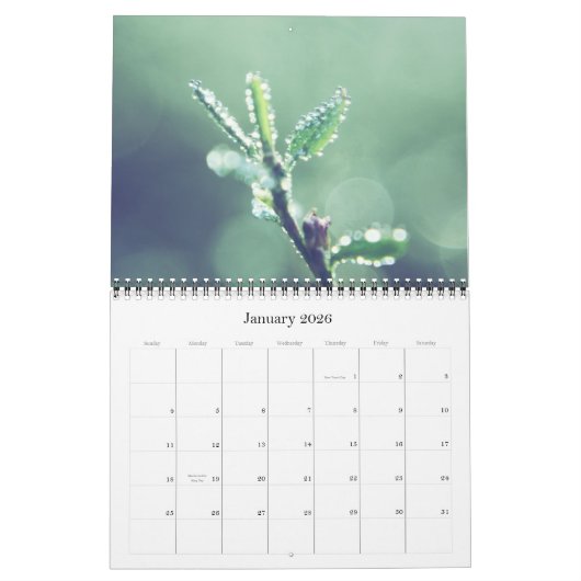 Alle grünen Kalender 2011 (Jan 2026)