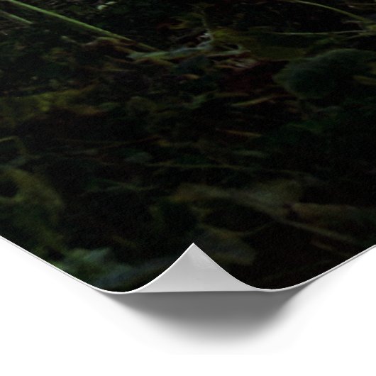 Alle Häuser - Poster (Ecke)