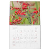 Alle Hummingbirds Calendar Kalender (Feb 2027)
