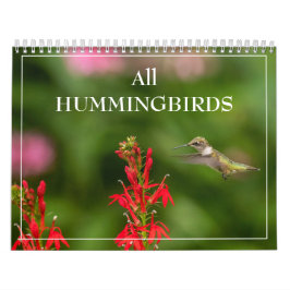 Alle Hummingbirds Calendar Kalender