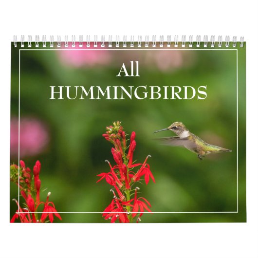Alle Hummingbirds Calendar Kalender (Titelbild)