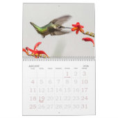 Alle Hummingbirds Calendar Kalender (Jan 2026)