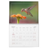 Alle Hummingbirds Calendar Kalender (Mär 2026)