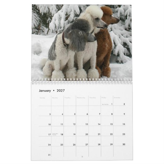 Alle Hunde sind vom Himmels-Kalender Kalender (Jan 2027)