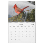 Alle Kardinal-Kalender Kalender (Mär 2026)