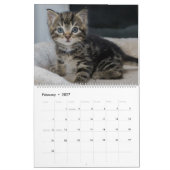 Alle Kätzchen Niedlich 2025 Wall Calendar Geschenk Kalender (Feb 2027)