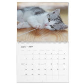 Alle Kätzchen Niedlich 2025 Wall Calendar Geschenk Kalender (Mär 2027)