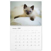 Alle Kätzchen Niedlich 2025 Wall Calendar Geschenk Kalender (Jan 2027)