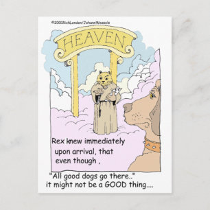 Alle Katzen kommen in den Himmel? Lustige Geschenk Postkarte